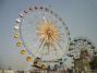 42m ferris wheel of amusement park equipment rides